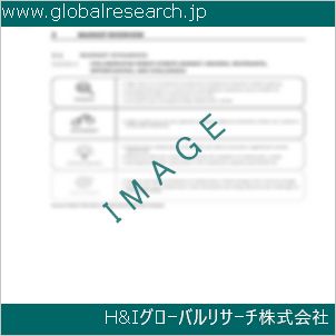 グローバルリサーチ調査資料のイメージ